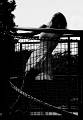 120624_0052_v2